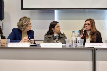 Um grupo de sete especialistas no combate ao feminicídio, composto por juízas, psicólogas, advogadas e profissionais de apoio a vítimas, falaram sobre os motivos que podem explicar o elevado número de casos registrados este ano no Rio Grande do Sul. Elas falaram durante a segunda reunião de trabalho da comissão externa da Câmara dos Deputados, criada por parlamentares gaúchas para investigar as mortes de mulheres gaúchas.<!-- NICAID(16066638) -->