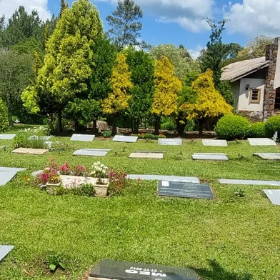 Conheça os serviços funerários para pets na região<!-- NICAID(14921243) -->
