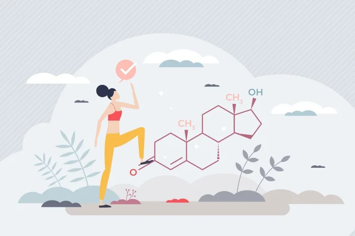 VectorMine / Shutterstock | Portal EdiCase VectorMine / Shutterstock | Portal EdiCase