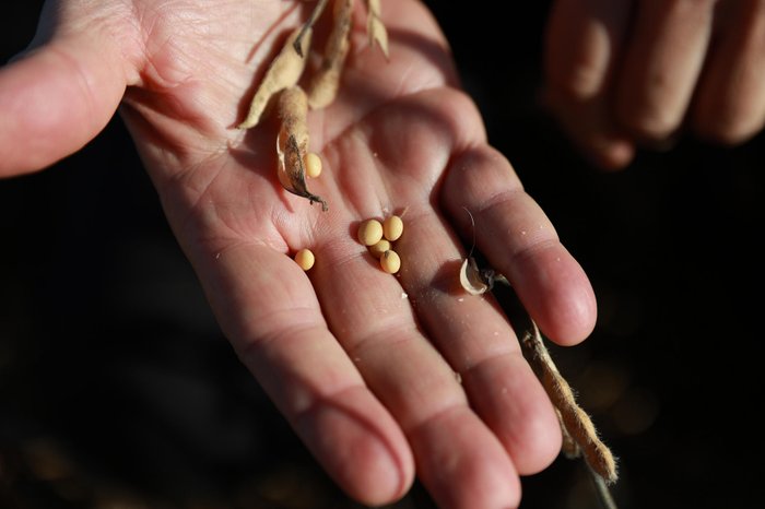 Jeff Botega / Agencia RBS Jeff Botega / Agencia RBS