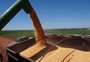 Conab e IBGE indicam colheita recorde no Brasil e recuperação da safra no RS