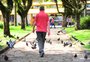 Estudo que vai mapear doenças e métodos de controle de pombos na área central de Caxias terá início em julho
