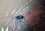 Em dois dias, três acidentes com carros que caíram de pontes deixam mortos no RS