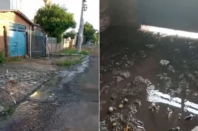Moradores relatam esgoto a céu aberto após problemas em tubulação do presídio de Passo Fundo<!-- NICAID(15968650) -->