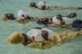 O retrato Finding Freedom in the Water, da fotógrafa Anna Boyiazis, compartilha a história de alunas da Escola Primária Kijini que aprendem a nadar e a realizar salvamentos, no Oceano Índico, na Praia de Muyuni, Zanzibar. Tradicionalmente, as meninas do Arquipélago de Zanzibar são dissuadidas de aprender a nadar, muito devido à falta de roupas de banho mais recatadas.<!-- NICAID(15265054) -->