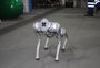 Scooby, o cão robô, marca presença na 7ª Expoagro Cotricampo