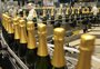 Do vidro ao papelão, da rolha à barrica: as dificuldades enfrentadas por vinícolas da Serra na comercialização da safra 
