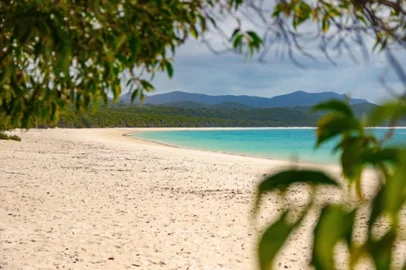 Whitehaven Beach on Whitsunday Island in Queensland, Australia<!-- NICAID(16089334) -->