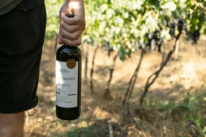 Projeto de vinhos "tokenizados" no Vale dos Vinhedos aguarda por mais vinícolas participantes para iniciar nova etapa <!-- NICAID(16095342) -->