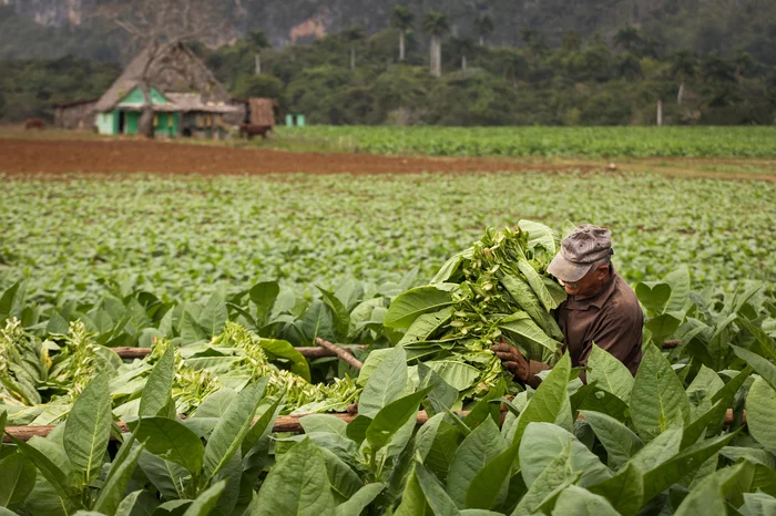 danmir12 / stock.adobe.com danmir12 / stock.adobe.com