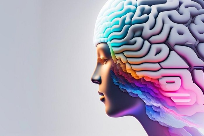 Juliana Bublitz & Lexica Ar / Divulgação