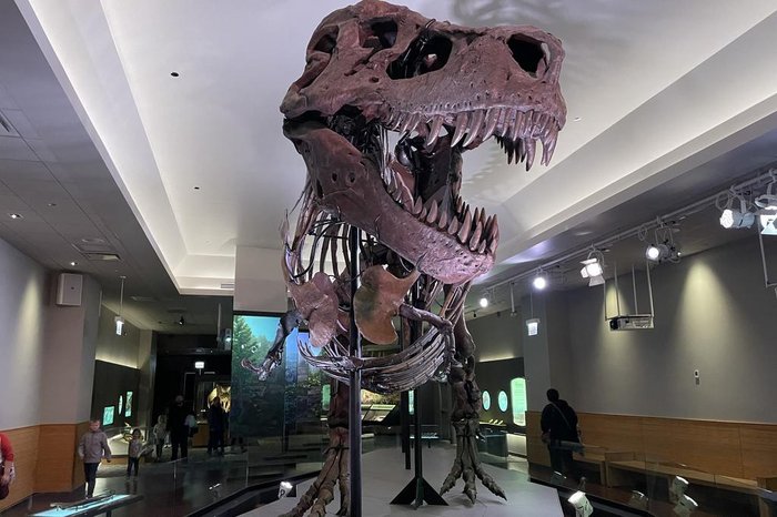 Kate Golembiewski / Field Museum / AFP