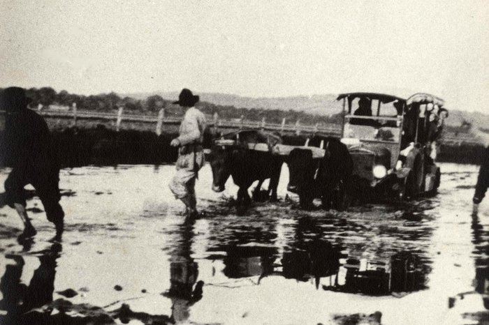 Reprodução / Acervo Felipe Kuhn Braun