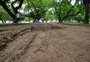 Após obras, área de caminhada do Parque Marinha mais parece pista de rali
