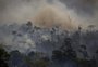 Com início no domingo, COP27 terá Brasil no centro dos debates