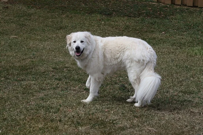 Valerie Reeves / Shutterstock | Portal EdiCase Valerie Reeves / Shutterstock | Portal EdiCase