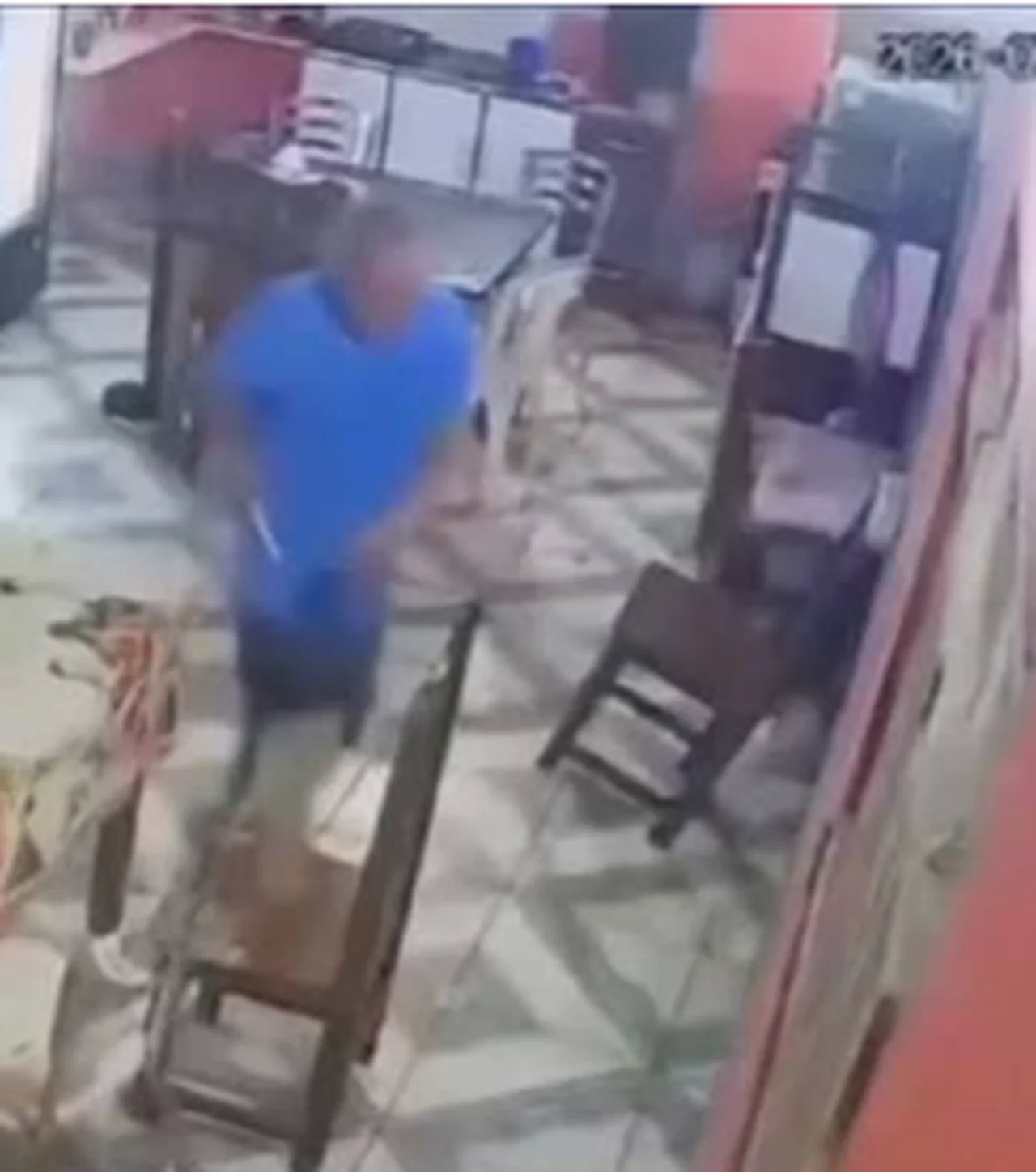 Reprodução