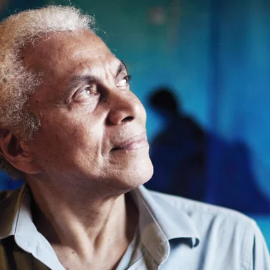 Paulinho da Viola, compositor, cantor, show araújo vianna<!-- NICAID(15010866) -->