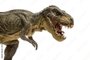 An extreme closeup view of an ominous T-Rex dinosaur figurine isolated against a clean white background. Monstrous animal with sharp teeth.<!-- NICAID(15032491) -->