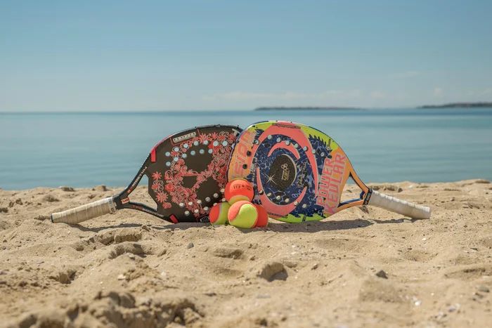 Reprodução / adobe.stock.com