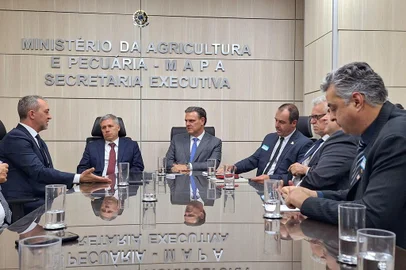 Reunião setor produtivo e governo federal sobre importação de arroz<!-- NICAID(15806403) -->