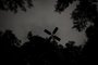 PORTO ALEGRE, RS, BRASIL, 25.04.2022: Parcão às escuras após furto de fios de energia. Foto: Camila Hermes/Agencia RBS<!-- NICAID(15077874) -->