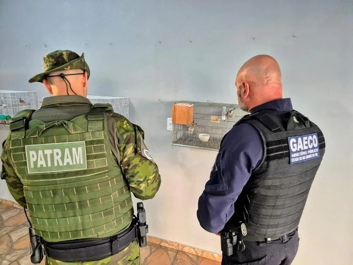 Divulgação / Ministério Público