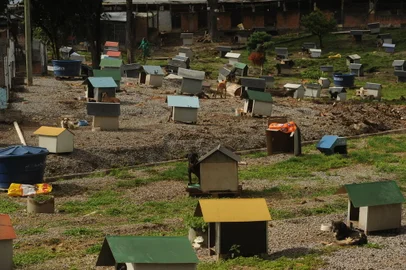 CAXIAS DO SUL, RS, BRASIL, 27/01/2017. Visitamos o canil municipal de Caxias do Sul, onde era a antiga chácara da Soama, para ver a situação do local após denúncia de maus-tratos. (Diogo Sallaberry/Agência RBS)<!-- NICAID(12700171) -->