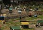 Prefeitura assina ordem de início para projeto do Parque de Proteção Animal de Caxias