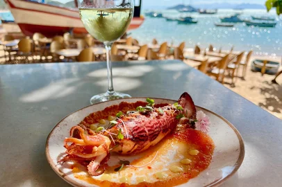 Restô Canto, destemperados, rio de janeiro, Lula de Arraial<!-- NICAID(16118260) -->