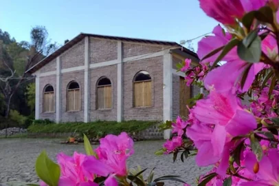 Vinícola Velho Amâncio<!-- NICAID(15288239) -->