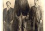 Como morreu cem anos atrás o "gigante" gaúcho