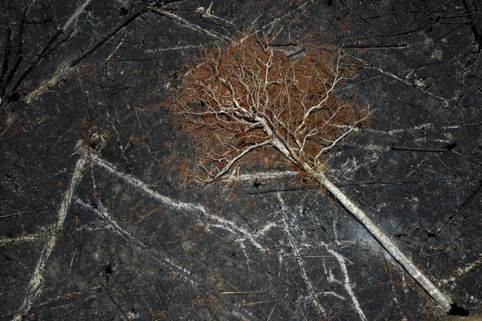 Michael Dantas / AFP Michael Dantas / AFP