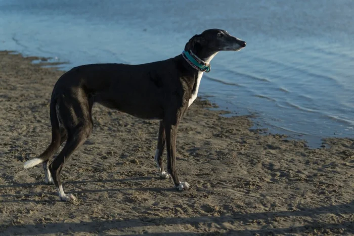 Heidi Bollich / Shutterstock | Portal EdiCase