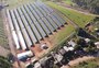 Banco gaúcho triplica financiamento de energias renováveis: "Só o que é verde"