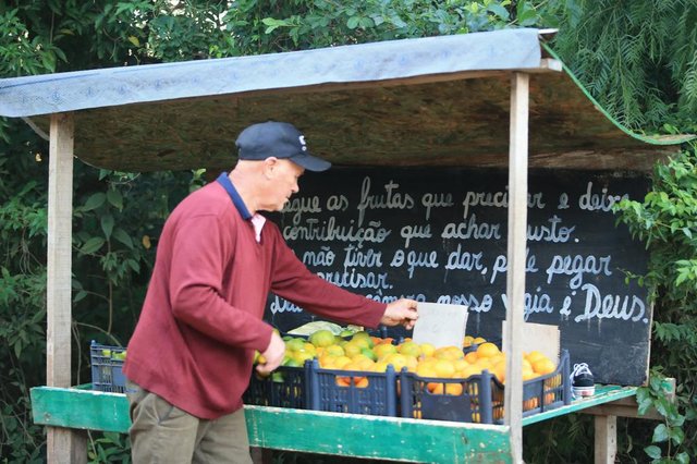 PORTO ALEGRE,RS,BRASIL.2022,05,09.Agricultor Sildo Mundt, colocou um banca de frutas, em frente a sua, na Estrada Jorge Pereira NUnes, para  quem quizer levar as frutas, uma forma solidaria de dispor das frutas.(RONALDO BERNARDI/AGENCIA RBS).<!-- NICAID(15090768) -->