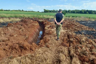 Quase 94 hectares do Bioma Pampa são queimados para plantio de soja no noroeste do RS <!-- NICAID(15724198) -->