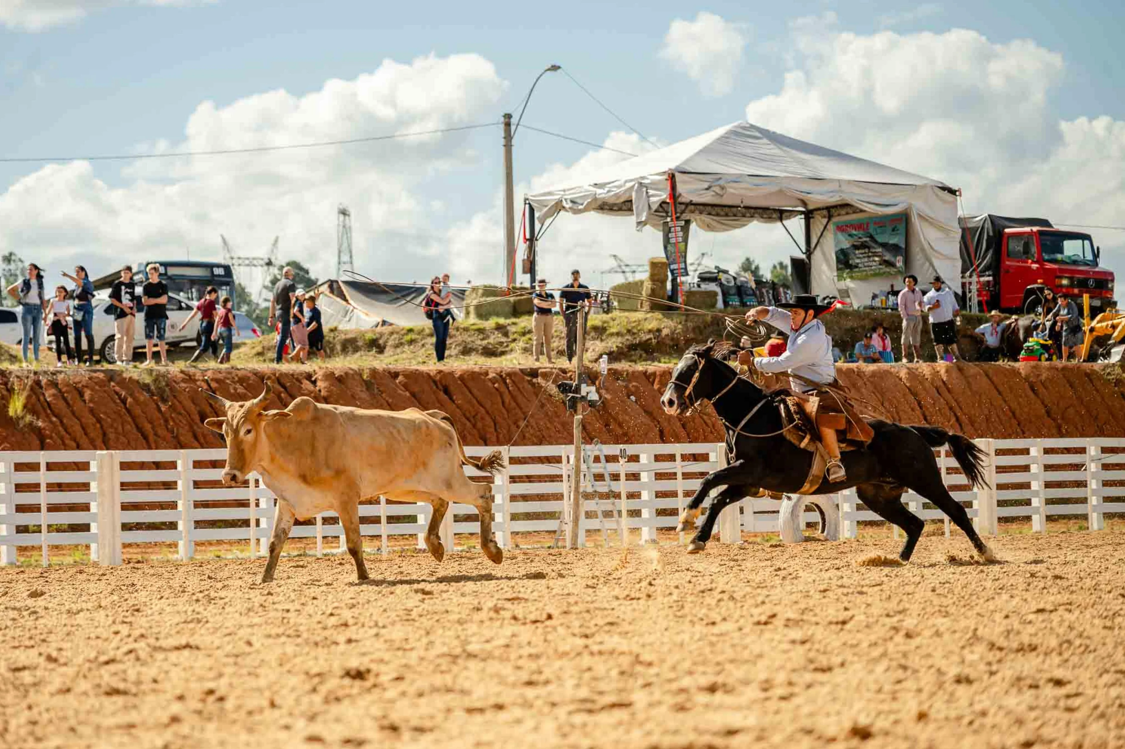 Deivis Bueno/Divulgação