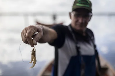 RIO GRANDE, RS, BRASIL - 2025.04.14 - Safra do camarão decepciona pescadores em Rio Grande, no sul do Estado. Em 2025, a captura começou em fevereiro e segue até o fim de maio, com expectativa de ser uma temporada melhor do que em 2024, o que não ocorreu. Prefeitura estima safra 50% abaixo do esperado. Segundo especialistas, enchente de maio de 2024 foi a responsável pelo resultado ruim até o momento. Na foto: Santos Rodalto Gonçalves Oriente, conhecido como Darti (Fotos: André Ávila/ Agência RBS)Indexador: Andre Avila<!-- NICAID(16018945) -->