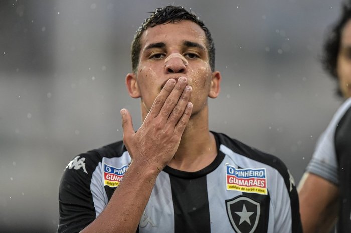 Thiago Ribeiro / Divulgação/Botafogo Thiago Ribeiro / Divulgação/Botafogo