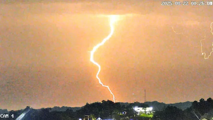 Divulgação / Observatório Heller & Jung