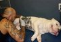 Lei que proíbe tatuagens e piercings em cães e gatos é sancionada