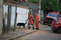 GRAVATAÍ, RS, BRASIL, 13-03-2026: Família Aguiar: polícia e bombeiros fazem buscas com cães farejadores em Gravataí e Cachoeirinha. Silvana Germann de Aguiar, de 48 anos, e os pais dela, Isail Aguiar, de 69, e Dalmira Aguiar, 70, não são vistos desde os dias 24 e 25 de janeiro. Foto: Ronaldo Bernardi/Agência RBS<!-- NICAID(16244489) -->