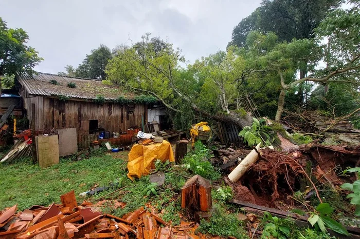 Maicon Parizotto / Agencia RBS