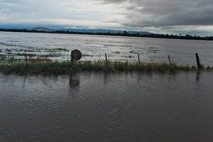 Itamar Piccolo / Arquivo Pessoal Itamar Piccolo / Arquivo Pessoal
