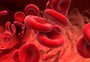 O câncer de sangue e o abismo entre a saúde pública e a privada