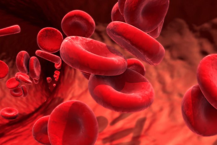 Design Cells / stock.adobe.com