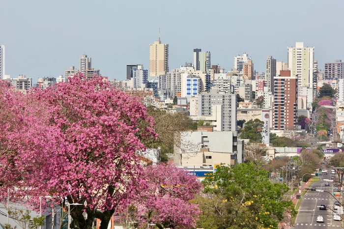 Jean Pimentel / Grupo RBS