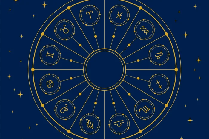 Oksana Tkachova / Shutterstock | Portal EdiCase