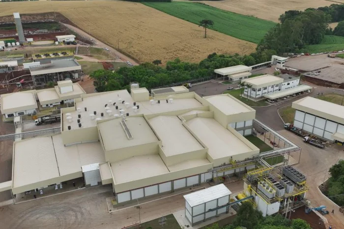 Aurora Coop / Divulgação